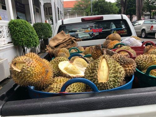 Пхукетский торговец пытается вернуть поставщику полтонны неспелых дурианов