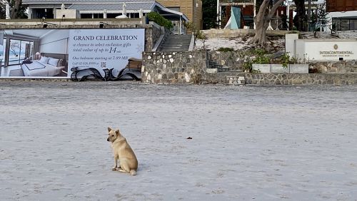 Пляжи Хуа-Хина пустуют. Опасающиеся коронавируса туристы отменяют запланированные отпуска. Фото: Kalboz / Flickr