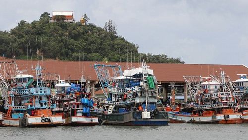 Главный рыболовецкий порт Пхукета закрывается из-за коронавируса. Фото: PR Phuket