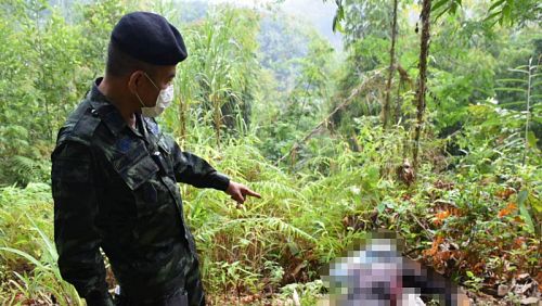 Военнослужащий у трупа мужчины застреленного в джунглях на границе с Мьянмой. Фото: Pha Muang Task Force / Bangkok Post