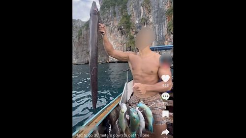 Поиски туриста начались после публикации в соцсетях видео, где он запечатлен с рыбами-попугаями.