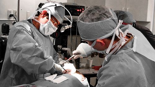 Операция по ринопластике в Беверли-Хиллс. Тайская медицинская виза также будет распространяться на косметическую хирургию. Фото: James Mutter