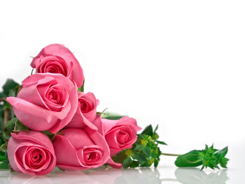 День святого Валентина: в Таиланде самые дорогие розы