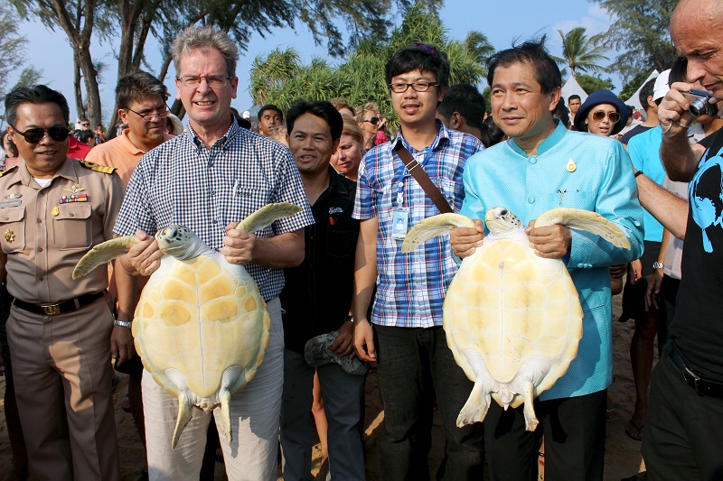 100 морских черепах отпущено на свободу
