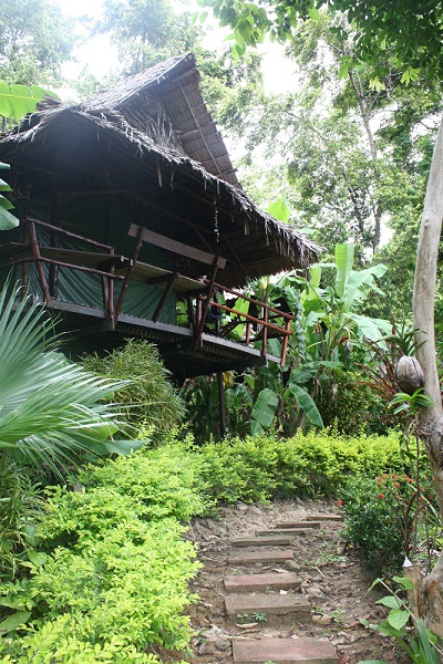 Эко-курорт окружен девственными джунглями, где в изобилии водятся всевозможные животные и птицы.