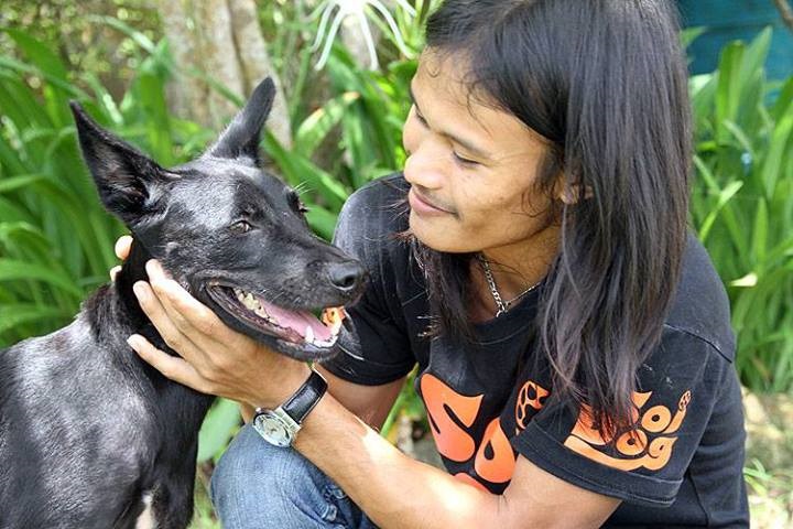Soi Dog Foundation отметит десятилетие на Пхукете