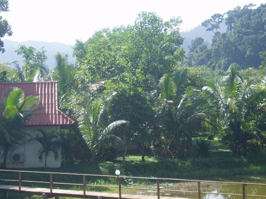 Бунгало в Као-Лаке