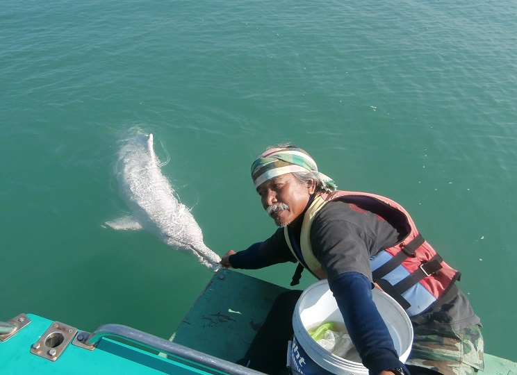 Кханом: Край розовых дельфинов