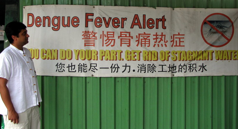 В Сингапуре ввели штрафы за недостаточно активную борьбу с комарами