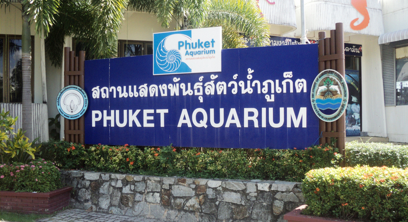 Пхукетский аквариум приподнял завесу тайны над планами расширения