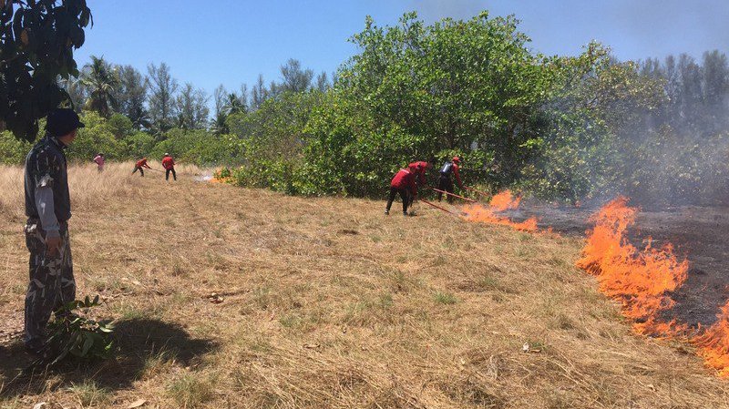 Глава национального парка Монгкон Ливвириякун полагает, что пожар мог возникнуть в результате умышленного поджога. Фото: Khao Lampi - Hat Thai Mueang National Park