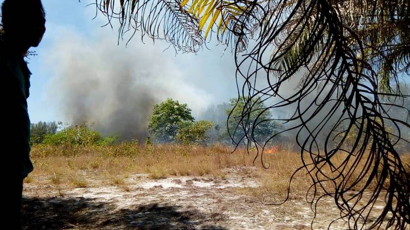 Глава национального парка Монгкон Ливвириякун полагает, что пожар мог возникнуть в результате умышленного поджога. Фото: Khao Lampi - Hat Thai Mueang National Park