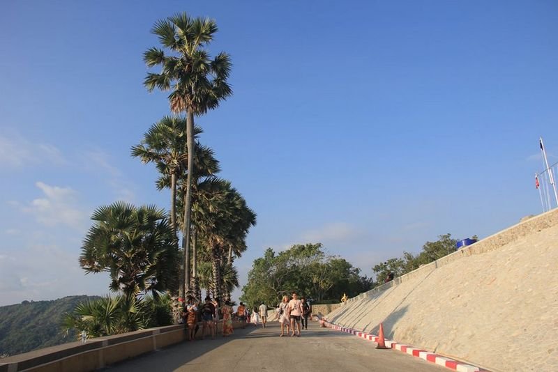 На мысе Промтхеп началась высадка 80 привезенных из Паттайи пальм. Фото: Муниципалитет Раваи