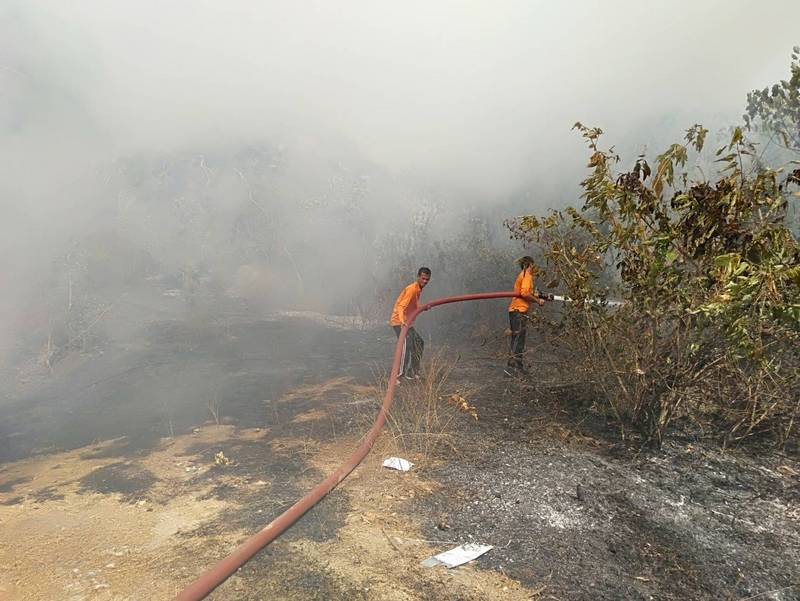 В Камале некто поджег мусор, огонь затем перекинулся на сухую траву и начал распространяться. Фото: Kusoldharm Foundation