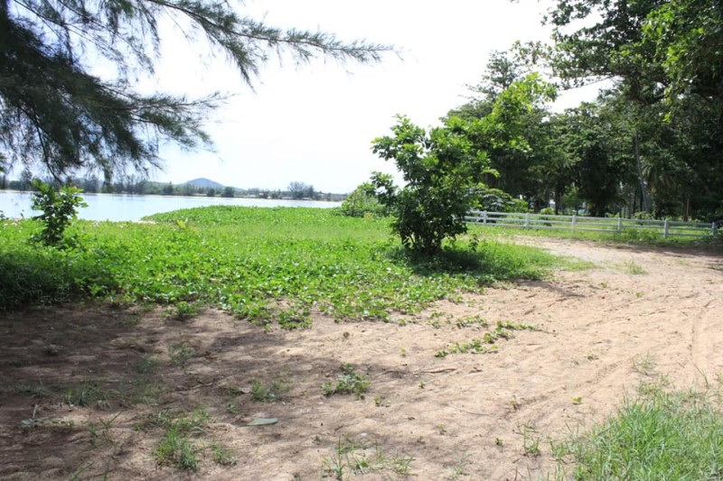 Возводить комплекс власти Пхукета планируют на прибрежном участке неподалеку от моста на материк. Фото: Phuket PR