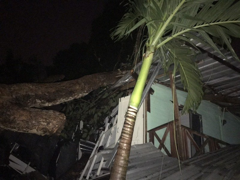 Дерево упало на один из домов для персонала школы Thairatwithaya School. Фото: Иккапоп Тхонгтуб