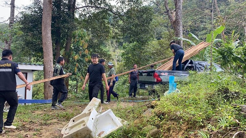 Нелегальную заготовку ценной древесины обнаружили в Калиме. Фото: PR Phuket