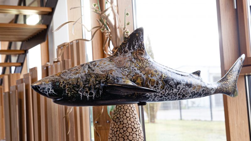 Декоративные акулы Fin Art и экологическая миссия их создателей