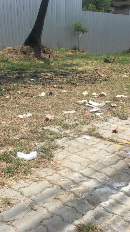 По некой причине, во время уборки в районе Най-Харна муниципальные работники собирают листья, но игнорируют пластиковый мусор.