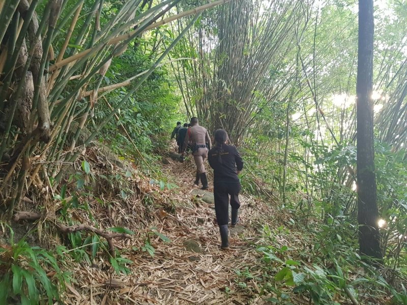 Престарелый американец потерялся в джунглях на севере Пхукета. Фото: Туристическая полиция