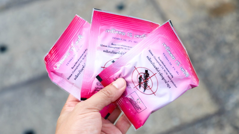 Кампания по борьбе с денге в Чалонге. Фото: Муниципалитет Чалонга