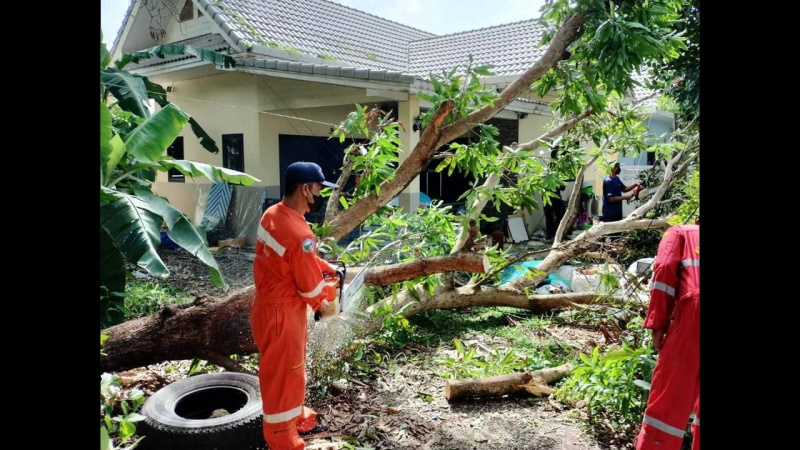 Поваленные и поврежденные ветром деревья в Раваи в понедельник, 30 мая. Фото: Муниципалитет Раваи