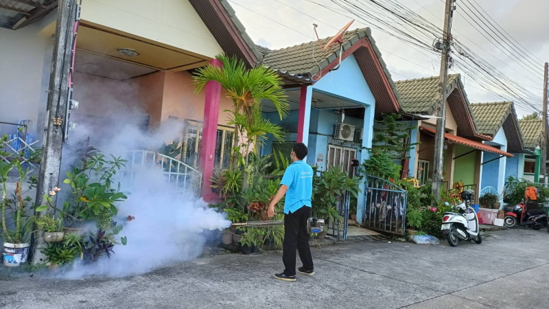 В Чалонге продолжается борьба с комарами. Фото: Муниципалитет Чалонга