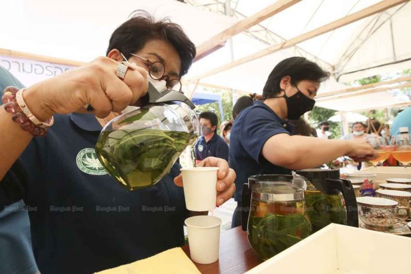 Дегустация конопляного чая в Минздраве. Фото: Pattarapong Chatpattarasill / Bangkok Post