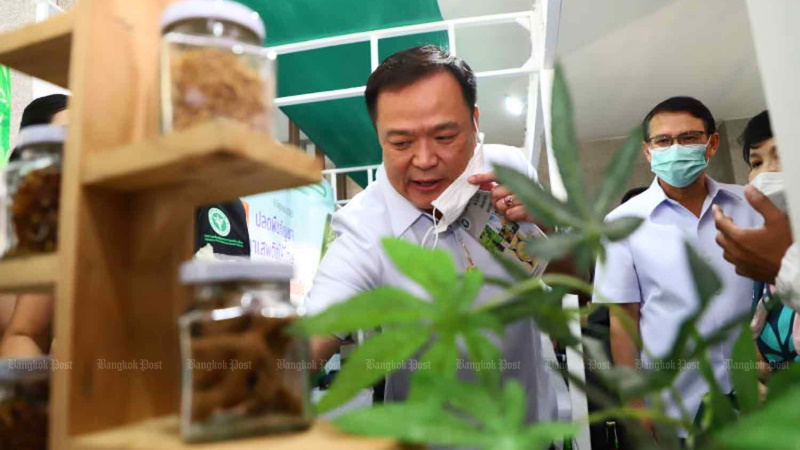 Министр здравоохранения Анутин Чарнвиракун на выставке продукции из конопли в Минздраве. Фото: Pattarapong Chatpattarasill / Bangkok Post