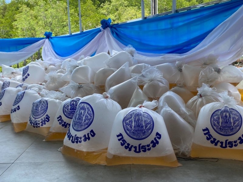 В Вичите выпустили в море полмиллиона креветок. Фото: Муниципалитет Вичита