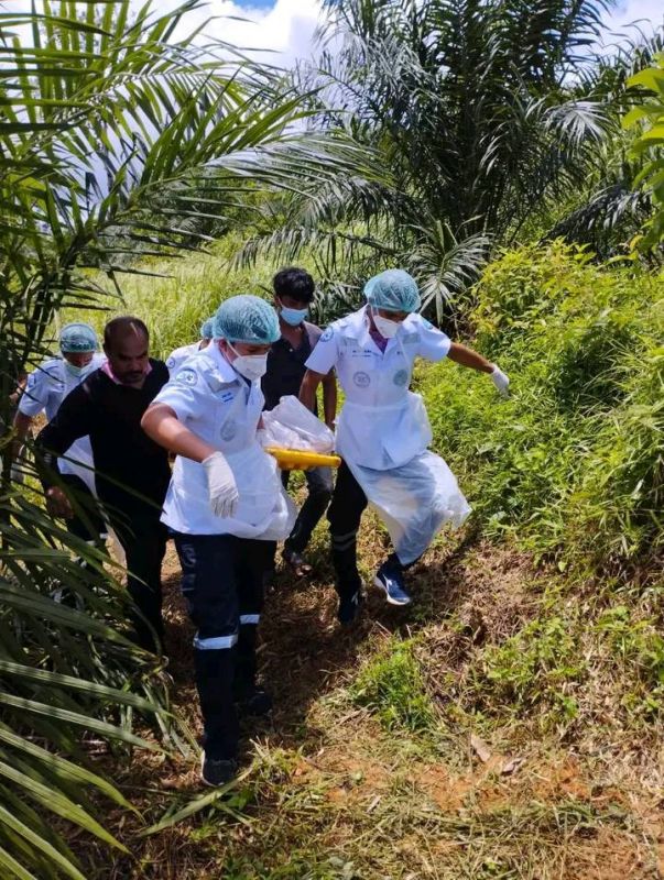 Тело 32-летнего махута было найдено на каучуковой плантации утром 17 августа. Фото: Kitti Wongratanawut