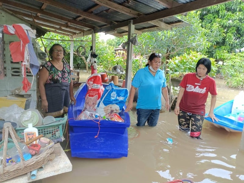 Наводнение в провинции Аютхайя. Фото: Soi Dog Foundation
