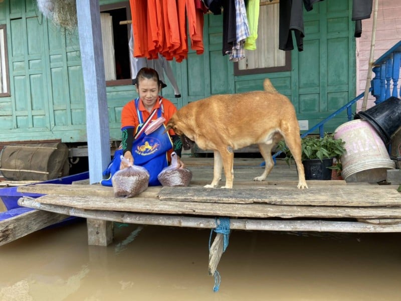 Женщина и ее собака у своего дома во время наводнения в провинции Аюттхайя. Фото: Soi Dog Foundation