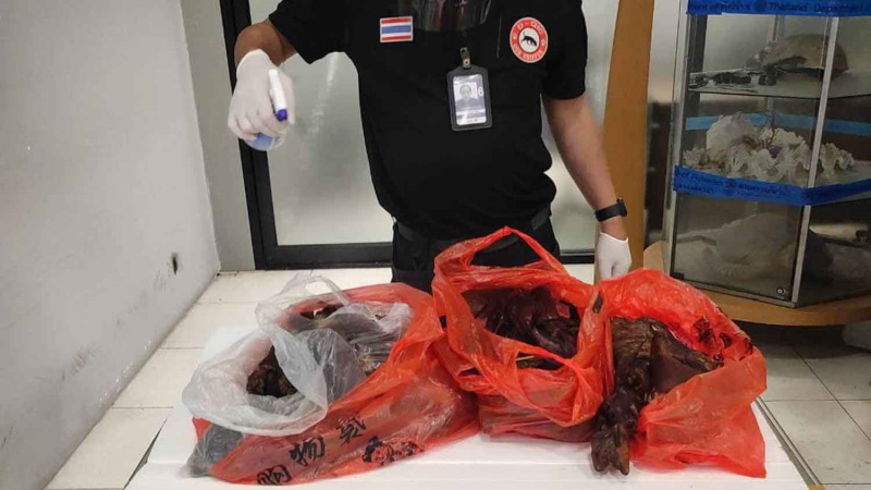В багаже туриста из Китая нашли копченых летучих мышей. Мясо учуял служебный пес в аэропорту. Фото: Департамент животноводства