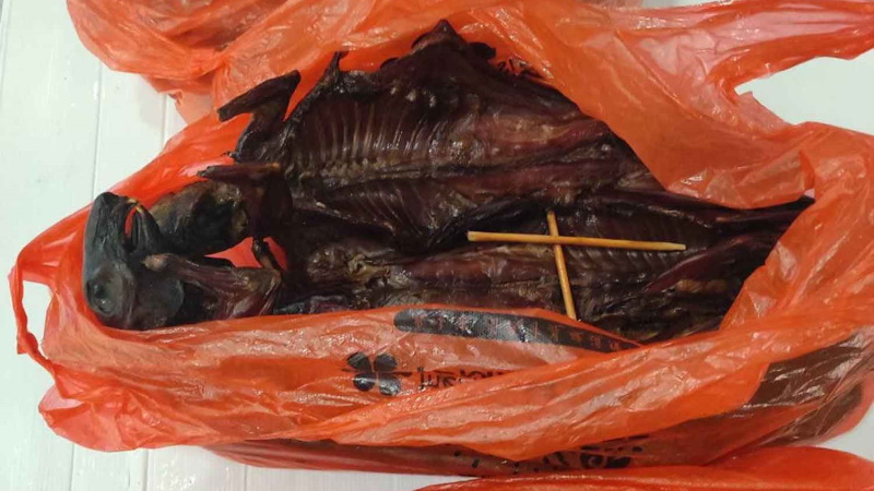 В багаже туриста из Китая нашли копченых летучих мышей. Мясо учуял служебный пес в аэропорту. Фото: Департамент животноводства