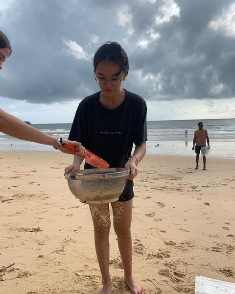 Экологическая группа Plastic Free Phuket, созданная учениками UWCT, борется за чистоту острова. Фото: Plastic Free Phuket / Facebook