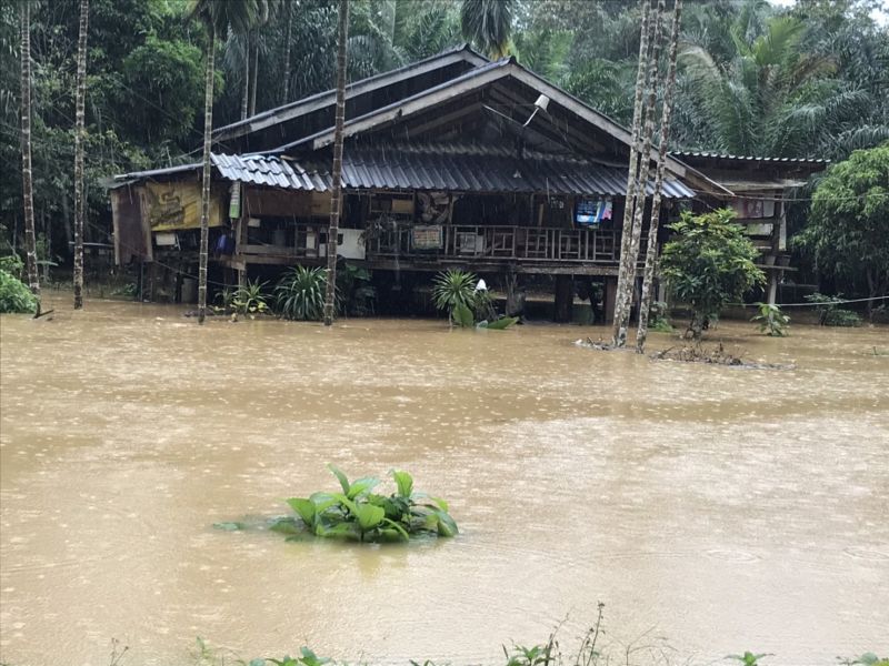 Новые шторма обрушились на юг Таиланда, вызывав наводнения в девяти провинциях и нарушив как сухопутное, так и морское сообщение. Фото: DDPM