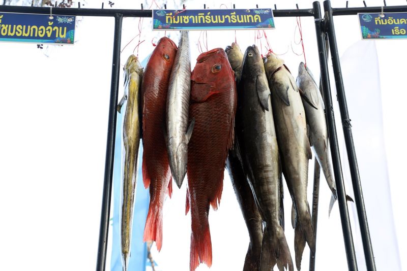 Турнир по спортивной рыбалке на Пхукете в 2021 году. Фото: Phuket Fishing Tournament / Facebook
