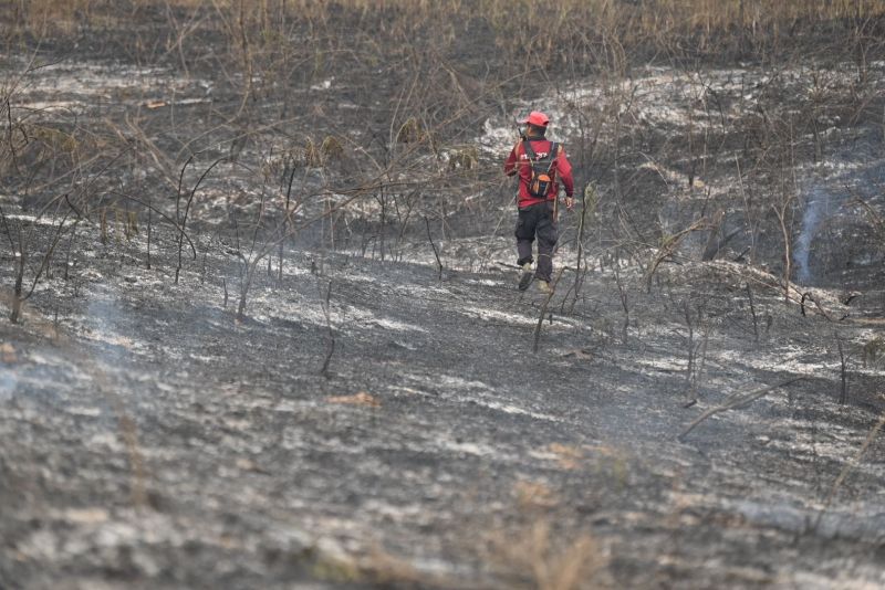 Пожар в неназванной провинции из публикации DNP от 12 марта 2023 года. Фото: DNP