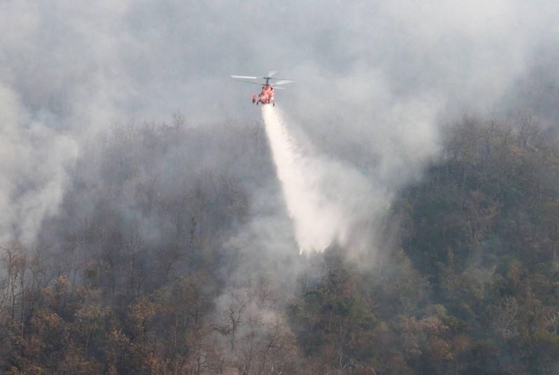 Вертолет Ка-32 на тушении лесного пожара в Таке в марте 2023 года. Фото: DDPM