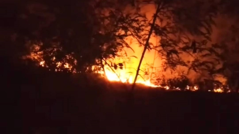 Лесной пожар произошел в Май-Кхао поздним вечером 26 марта. Фото: Mai Khao OrBorTor
