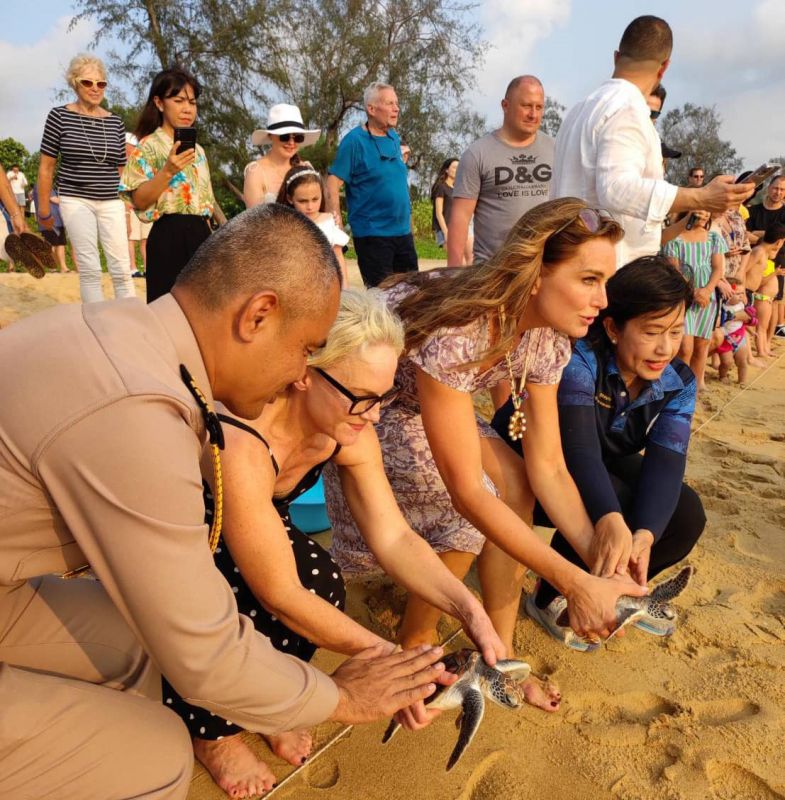 Актриса Брук Шилдс приняла участие в выпуске черепах в море на пляже Май Кхао. Фото: DMCR