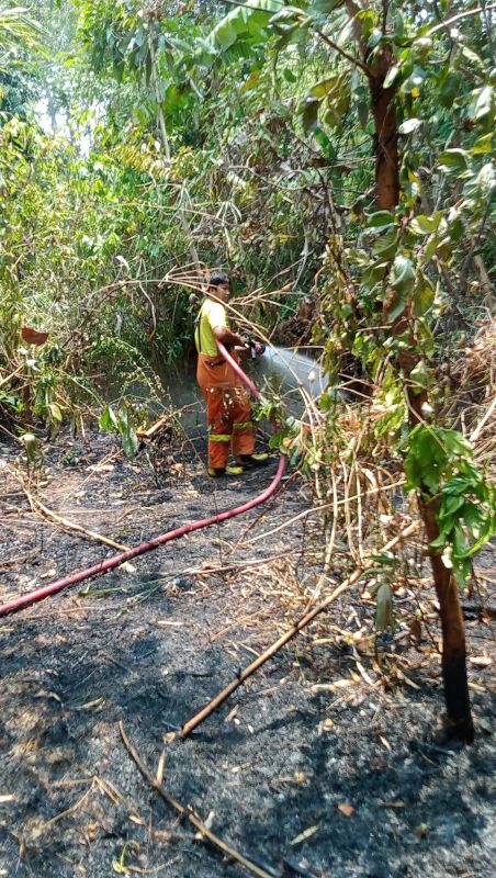 Придорожный пожар в Паклоке в пятницу, 14 апреля. Фото: Pa Khlok Municipality