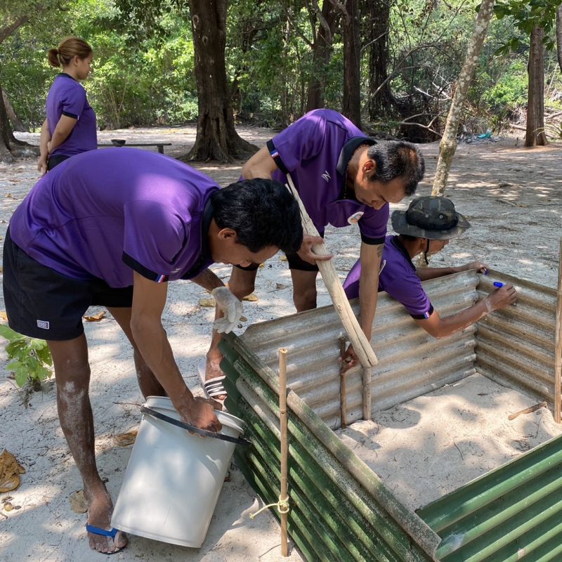 Кладку яиц морской черепахи обнаружили на острове Тачай. Фото: Mu Ko Similan National Park