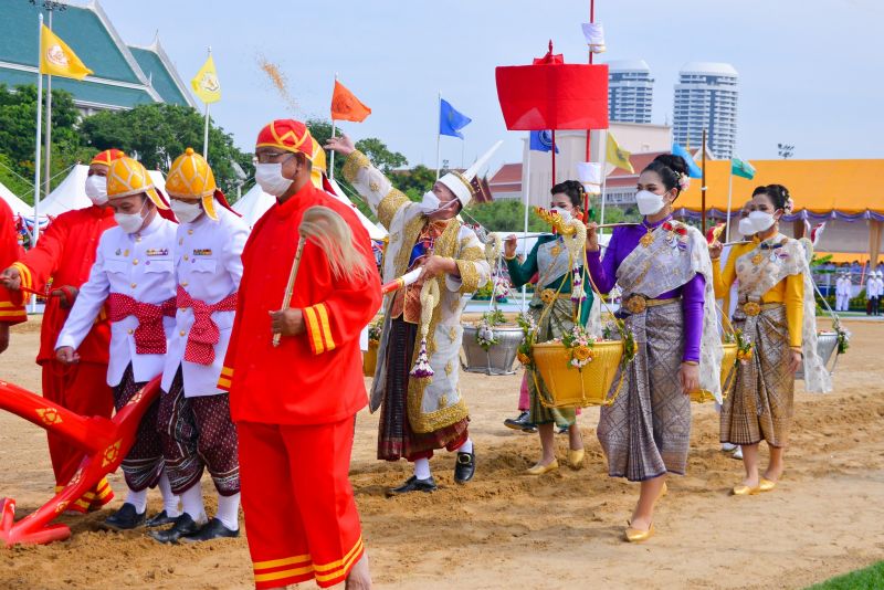 Королевская церемония Пахоты в Бангкоке в 2023 году. Фото: MOAC / Минсельхоз Таиланда