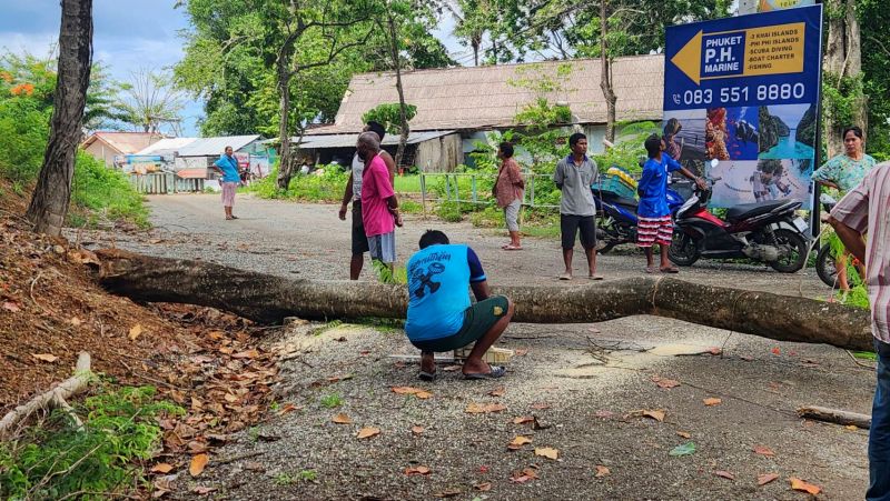Росшее у дороги дерево не выдержало непогоды на острове Сирэ. Фото: Иккапоп Тхонгтуб