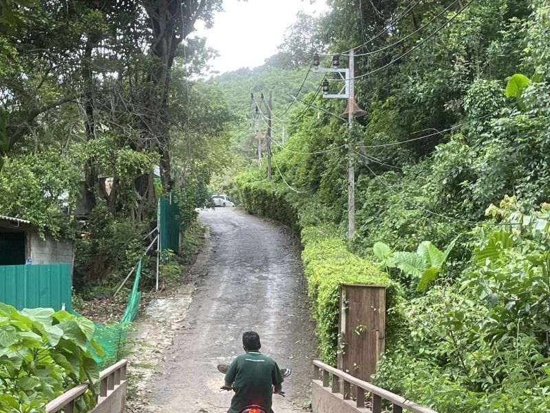 Несмотря на активное развитие туризма, тамбон Раваи богат на естественную зелень. Фото: Диана Серегина