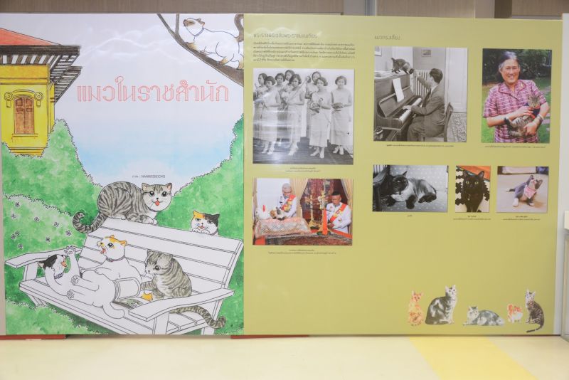 Посвященная кошкам выставка «Вила вилат» будет проходить в National Library of Thailand до конца ноября. Фото: Department of Fine Arts