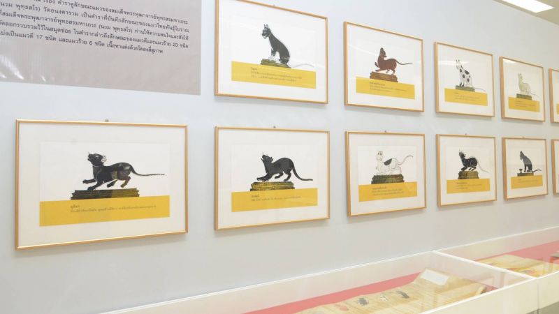 Посвященная кошкам выставка «Вила вилат» будет проходить в National Library of Thailand до конца ноября. Фото: Department of Fine Arts